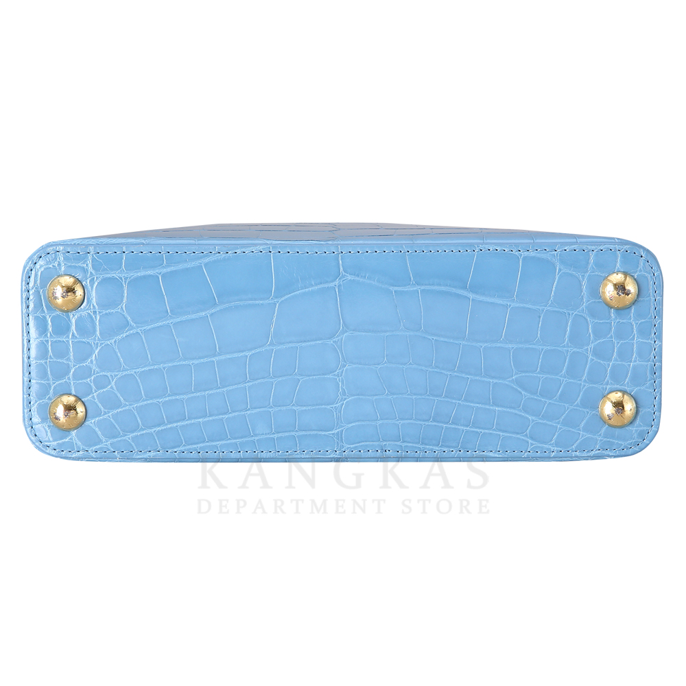LOUIS VUITTON(USED)루이비통 와니 카퓌신 BB